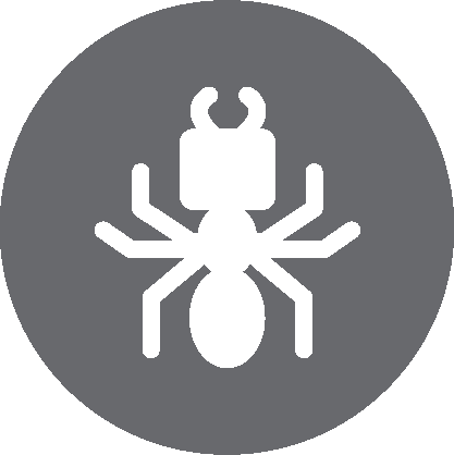 Picto_Insecte